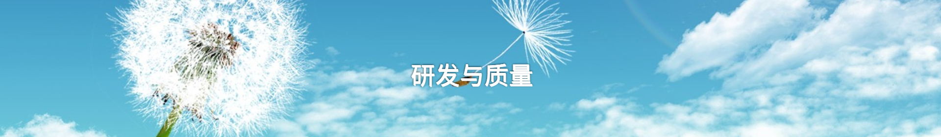 研发与质量